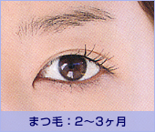�܂с@2�`3����