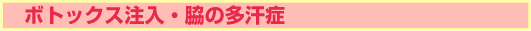 �{�g�b�N�X�����E�e�̑�����